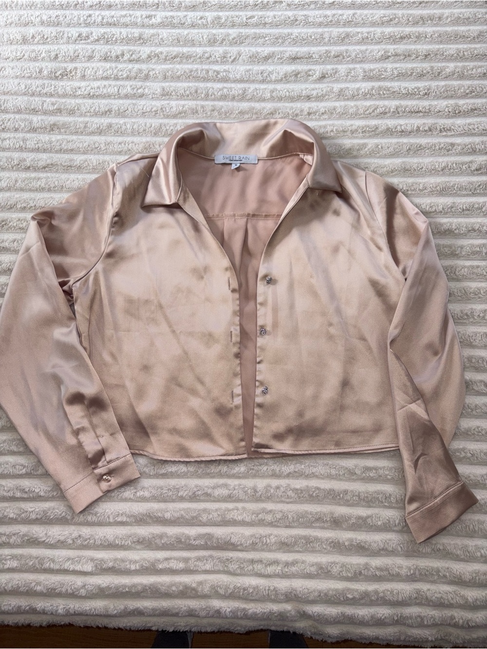 Blush Satin Button-Front Women's Top